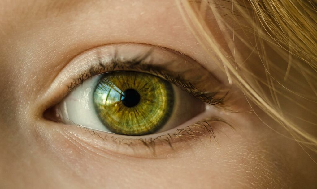 Auge Nahaufnahme Kleine Augen größer aussehen lassen durch Make-Up